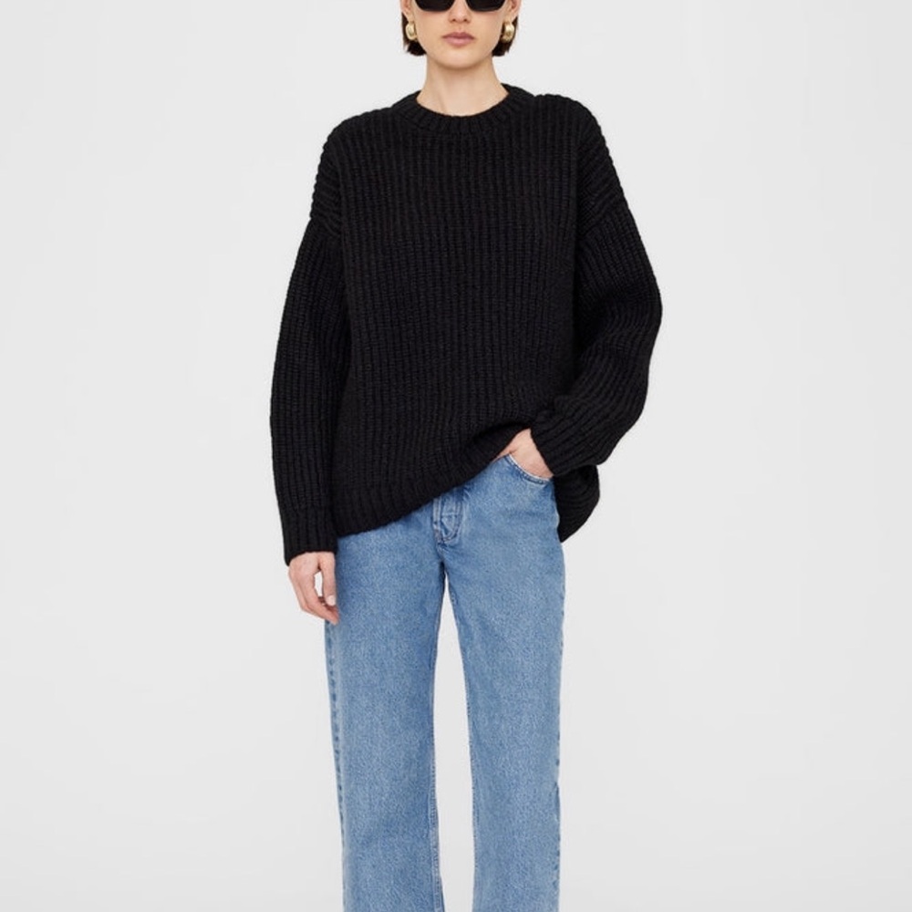 ANINE BING SYDNEY CREW SWEATER NEVER WORN